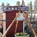 At Huskies Farm