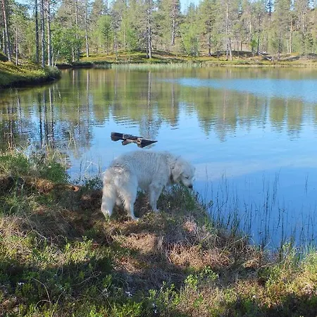 Loma-asunnot At Huskies Farm