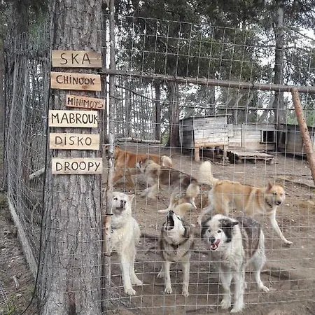 بيت للعطل At Huskies Farm إيناري