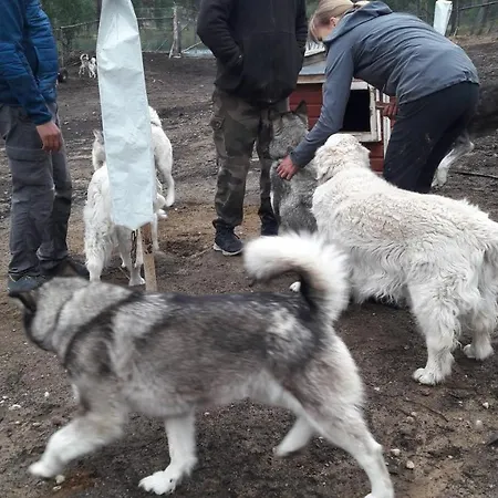 At Huskies Farm بيت للعطل إيناري