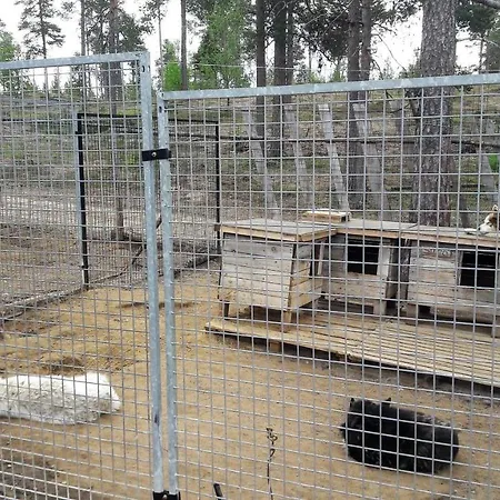 At Huskies Farm Loma-asunnot