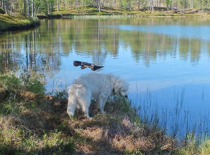 Tatil Evi At Huskies Farm